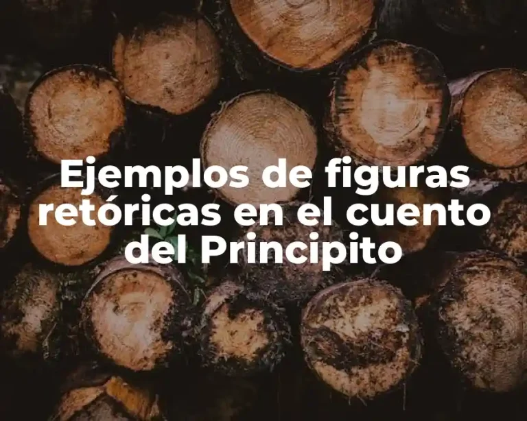 Ejemplos de figuras retóricas en el cuento del Principito