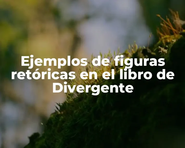 Ejemplos de figuras retóricas en el libro de Divergente