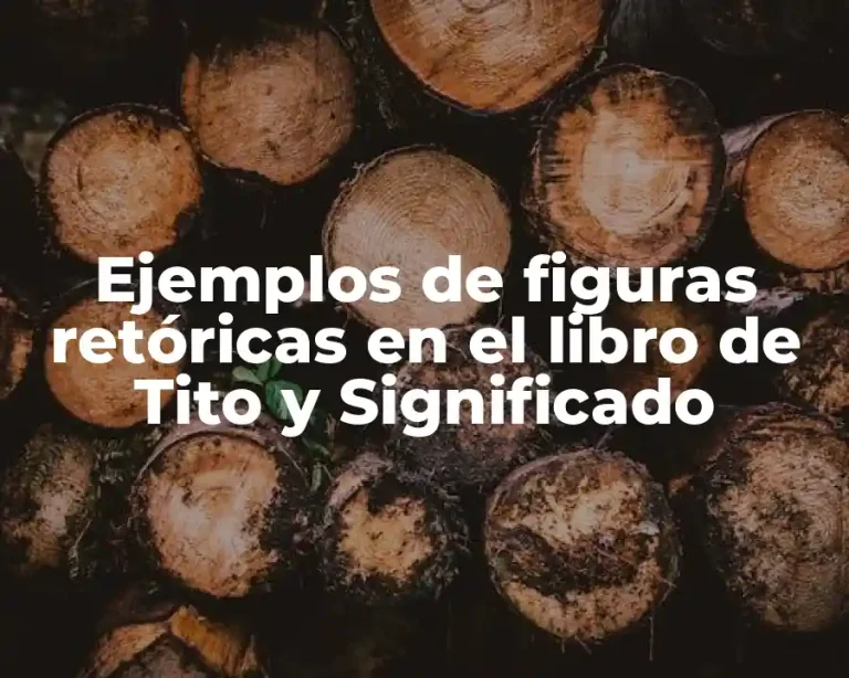 Ejemplos de figuras retóricas en el libro de Tito y Significado