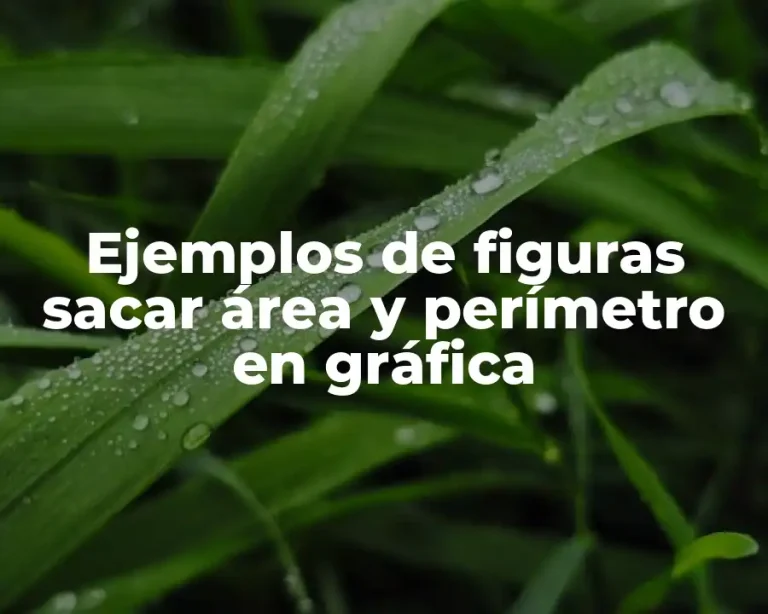 Ejemplos de figuras sacar área y perímetro en gráfica