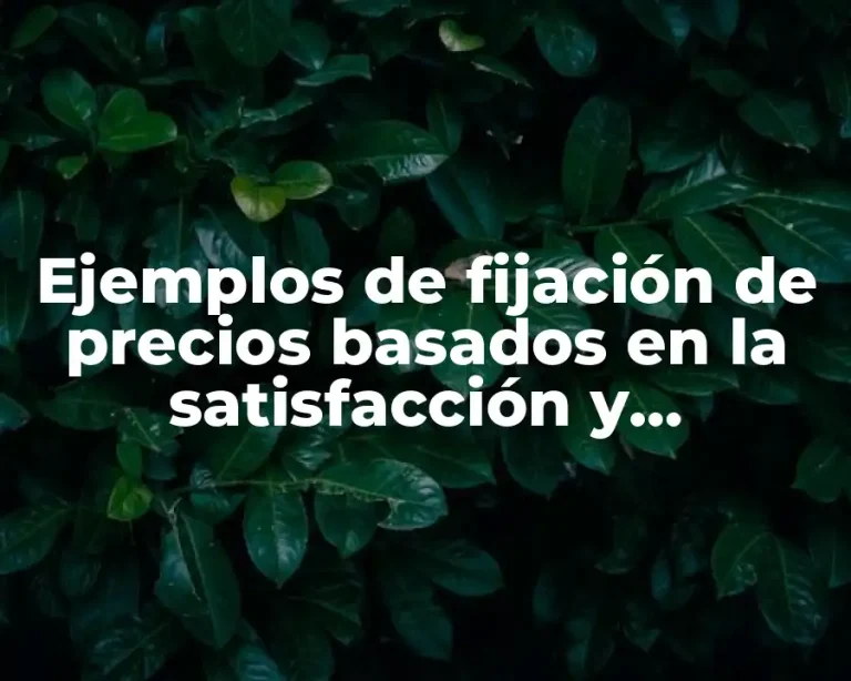 Ejemplos de fijación de precios basados en la satisfacción y Significado