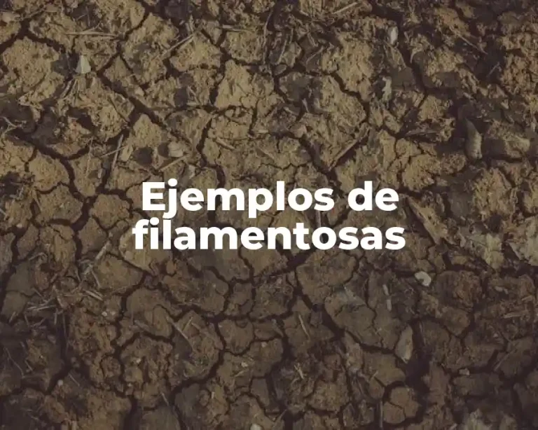Ejemplos de filamentosas