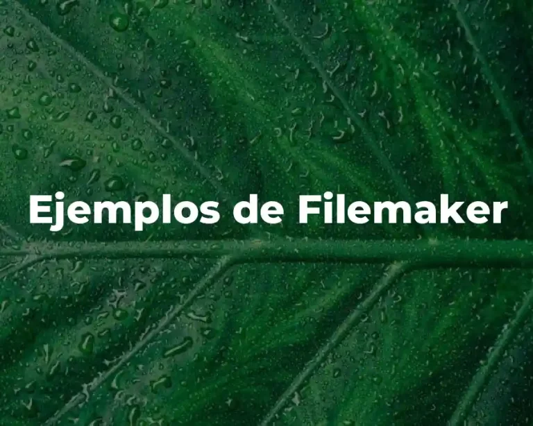 Ejemplos de Filemaker