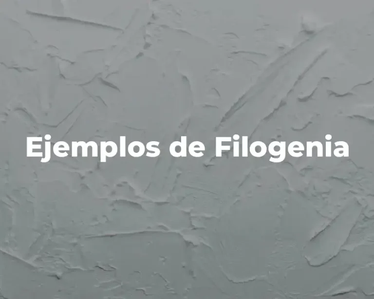 Ejemplos de Filogenia