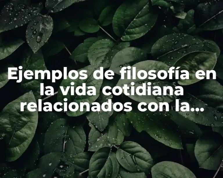 Ejemplos de filosofía en la vida cotidiana relacionados con la filosofia