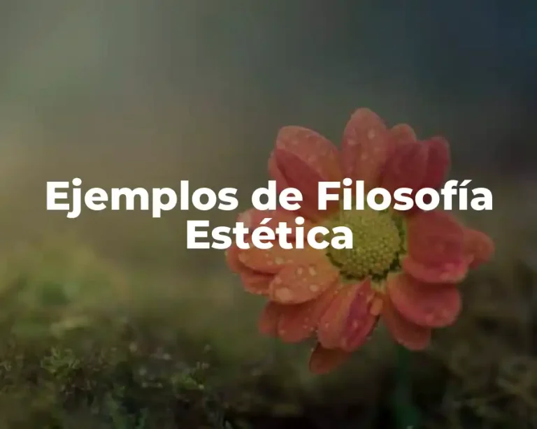Ejemplos de Filosofía Estética