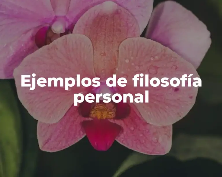 Ejemplos de filosofía personal