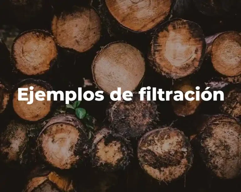 Ejemplos de filtración