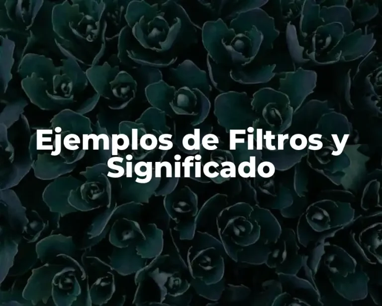 Ejemplos de Filtros y Significado