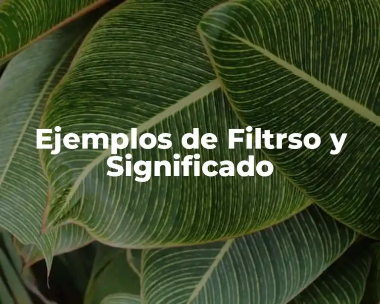Ejemplos de Filtrso y Significado