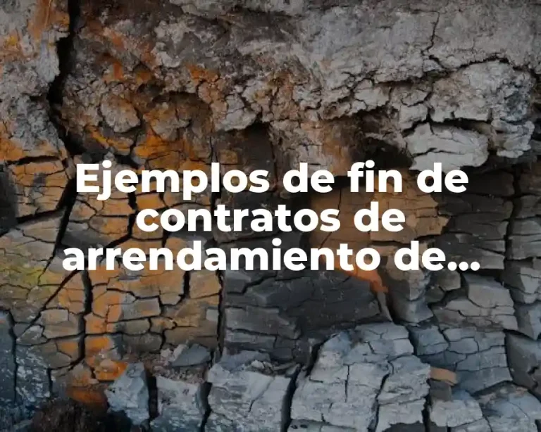 Ejemplos de fin de contratos de arrendamiento de terreno
