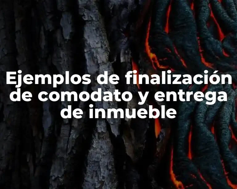 Ejemplos de finalización de comodato y entrega de inmueble