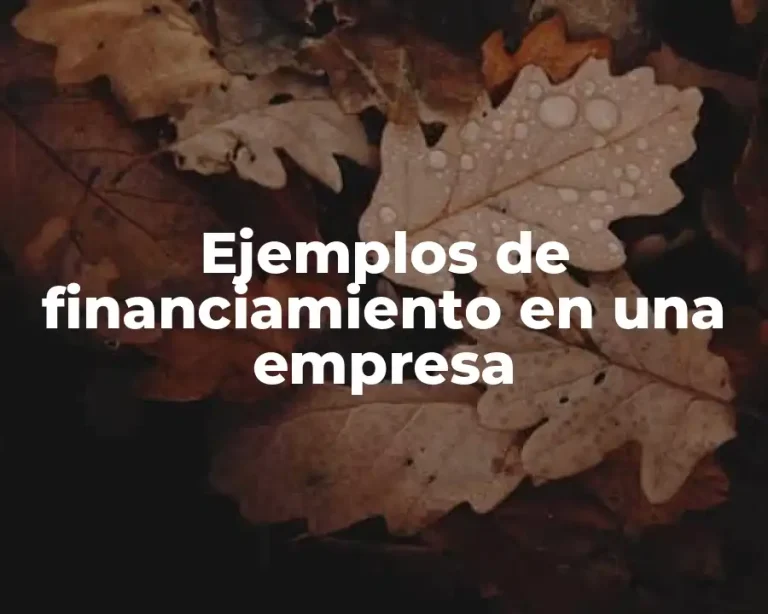 Ejemplos de financiamiento en una empresa