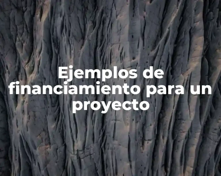 Ejemplos de financiamiento para un proyecto