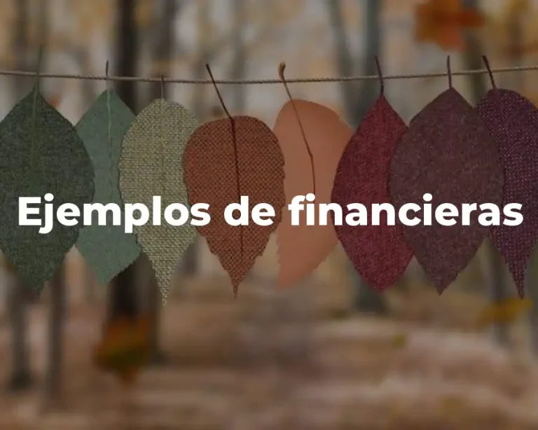 Ejemplos de financieras