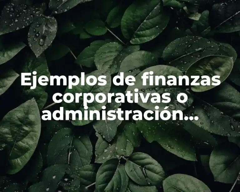 Ejemplos de finanzas corporativas o administración financiera de las empresas y Significado