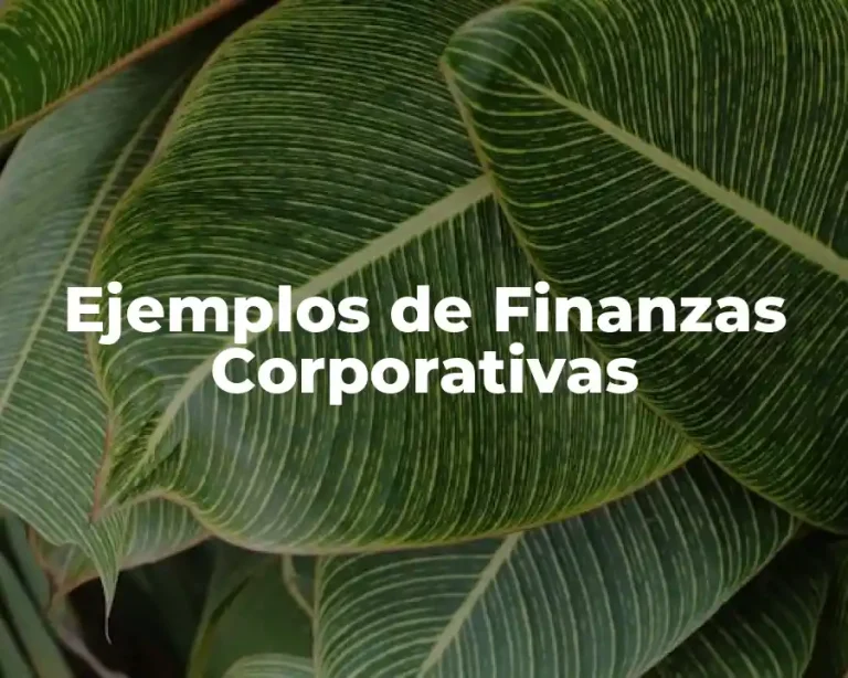 Ejemplos de Finanzas Corporativas