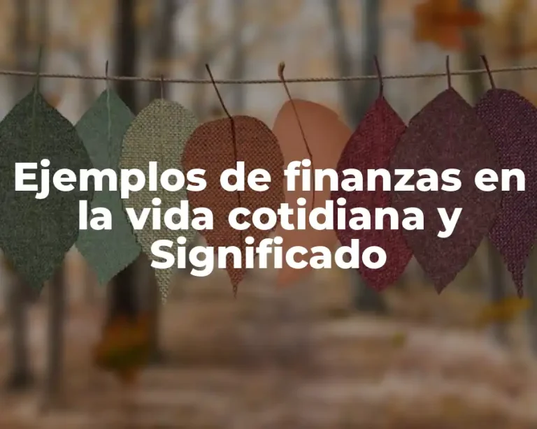 Ejemplos de finanzas en la vida cotidiana y Significado