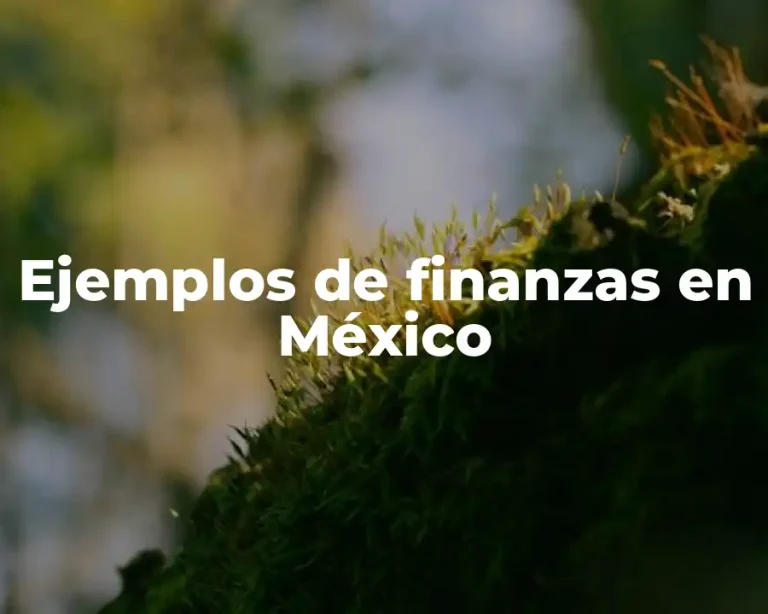 Ejemplos de finanzas en México