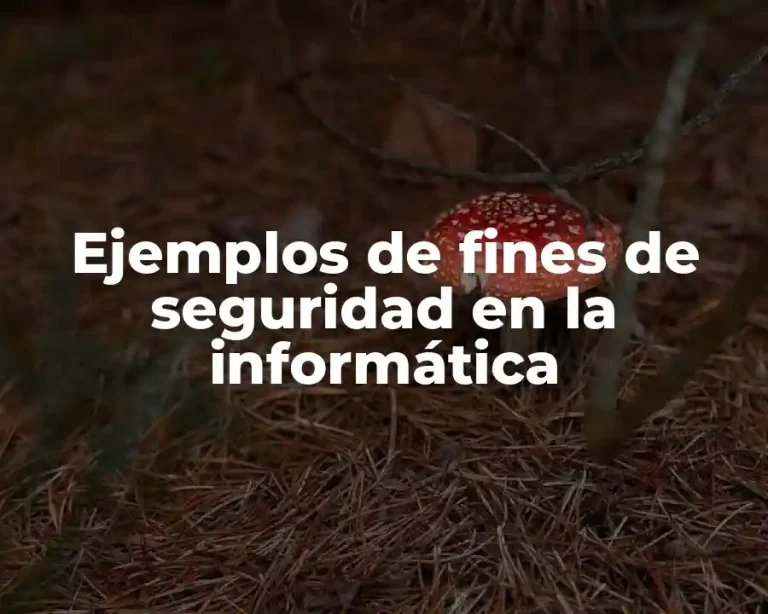 Ejemplos de fines de seguridad en la informática