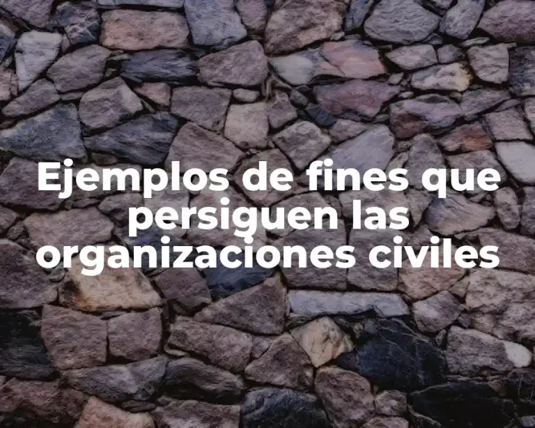 Ejemplos de fines que persiguen las organizaciones civiles