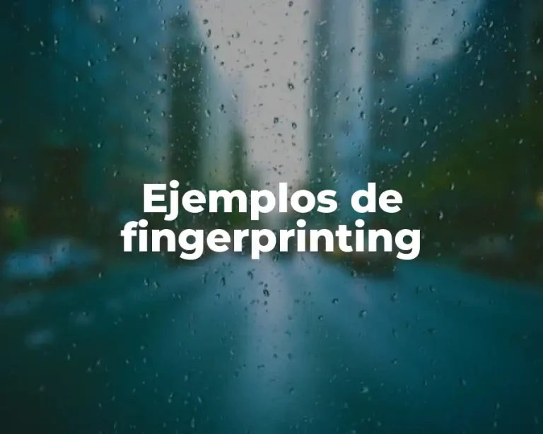 Ejemplos de fingerprinting