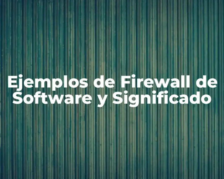 Ejemplos de Firewall de Software y Significado