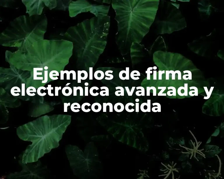 Ejemplos de firma electrónica avanzada y reconocida