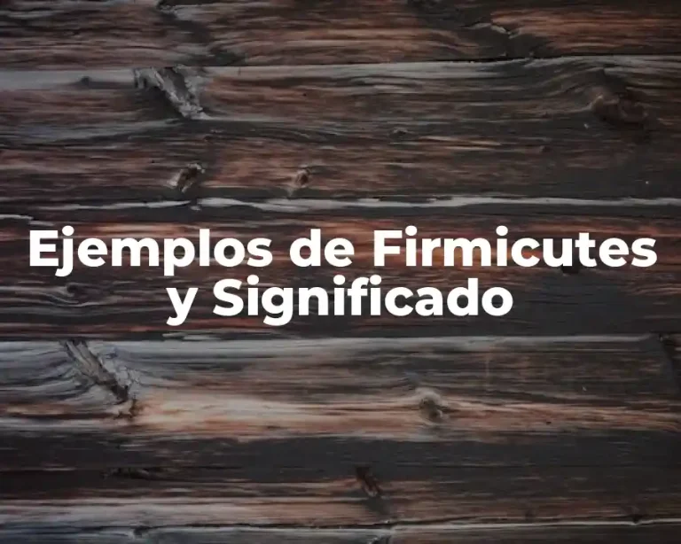 Ejemplos de Firmicutes y Significado