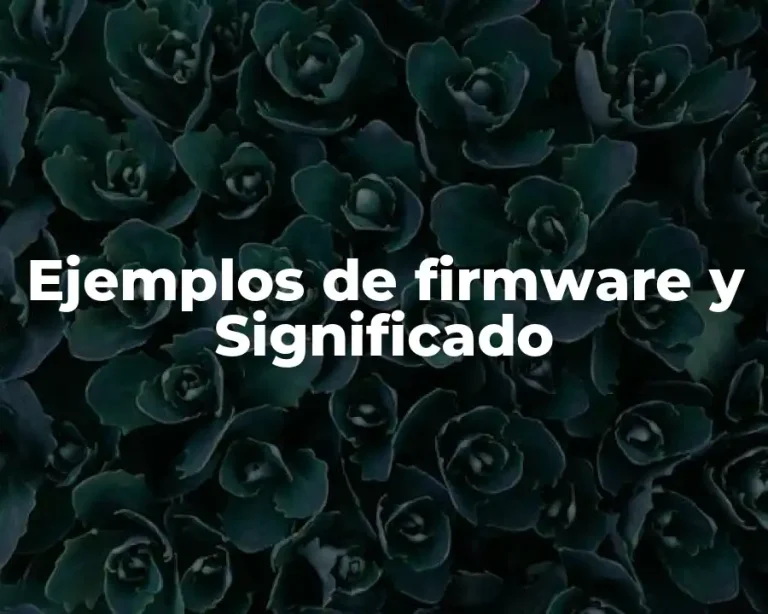 Ejemplos de firmware y Significado