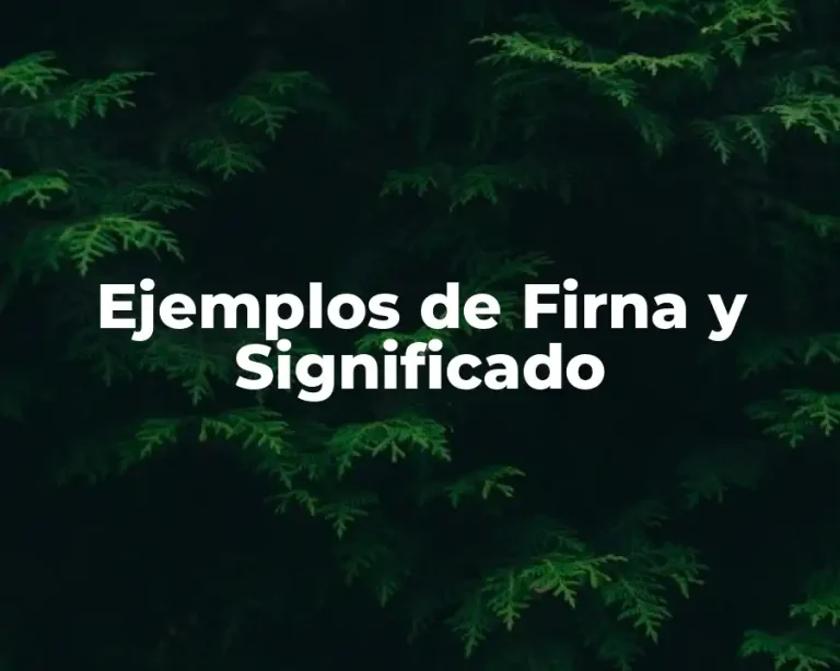 Ejemplos de Firna y Significado