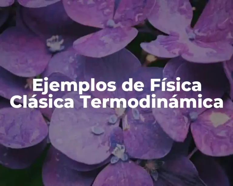 Ejemplos de Física Clásica Termodinámica