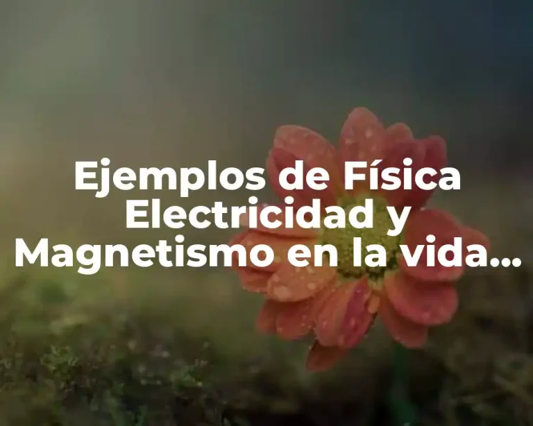 Ejemplos de Física Electricidad y Magnetismo en la vida cotidiana y Significado