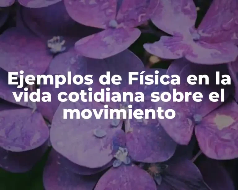 Ejemplos de Física en la vida cotidiana sobre el movimiento