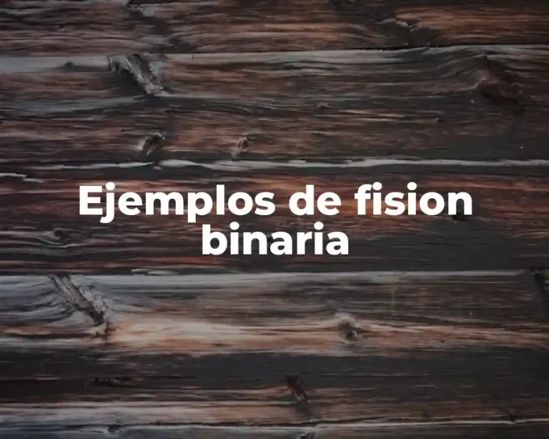 Ejemplos de fision binaria