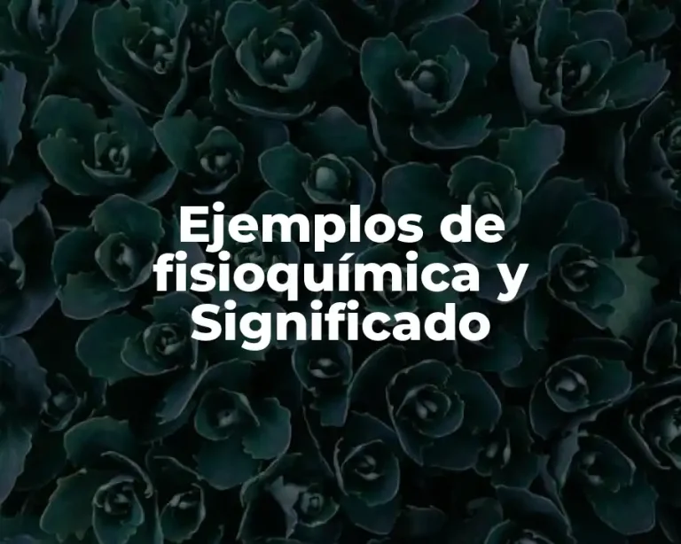 Ejemplos de fisioquímica y Significado