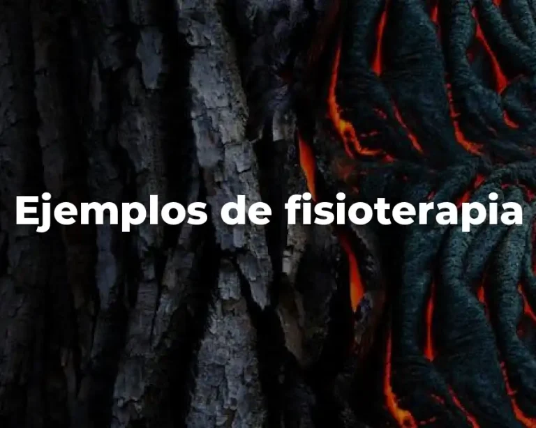 Ejemplos de fisioterapia