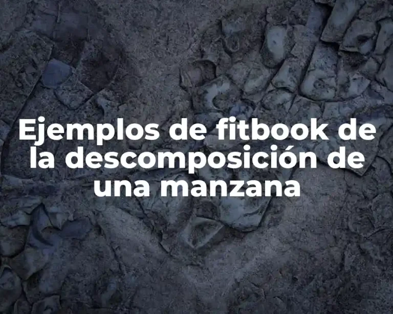 Ejemplos de fitbook de la descomposición de una manzana
