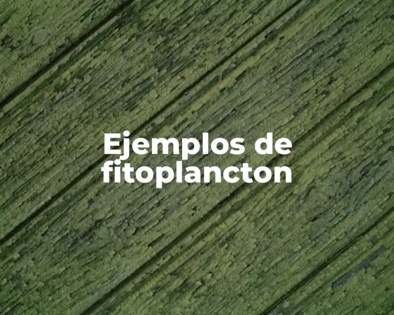 Ejemplos de fitoplancton
