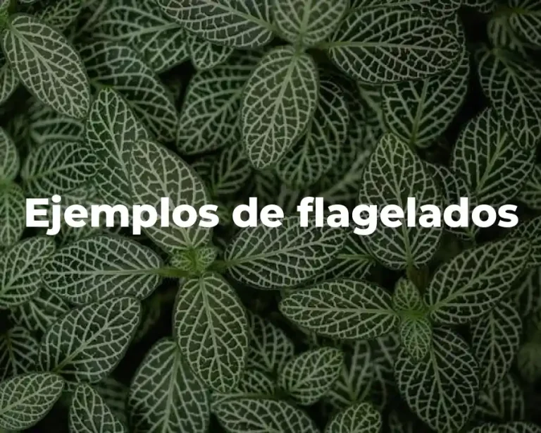 Ejemplos de flagelados