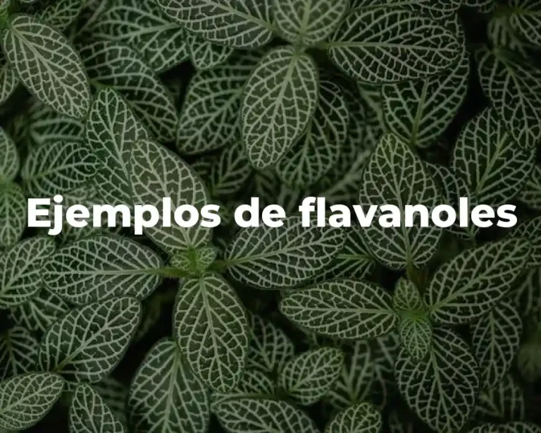 Ejemplos de flavanoles
