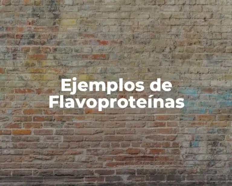 Ejemplos de Flavoproteínas