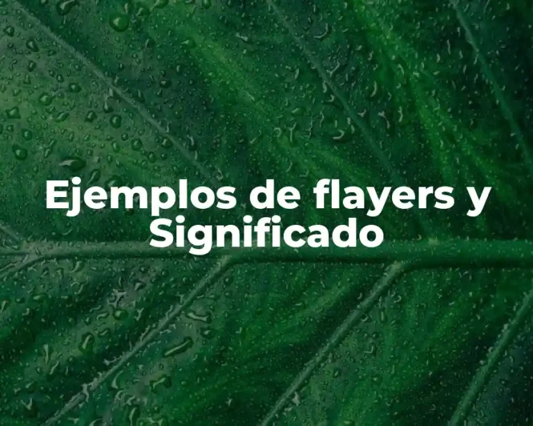 Ejemplos de flayers y Significado