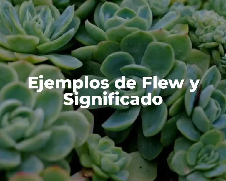 Ejemplos de Flew y Significado