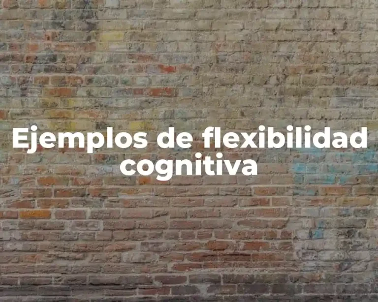 Ejemplos de flexibilidad cognitiva