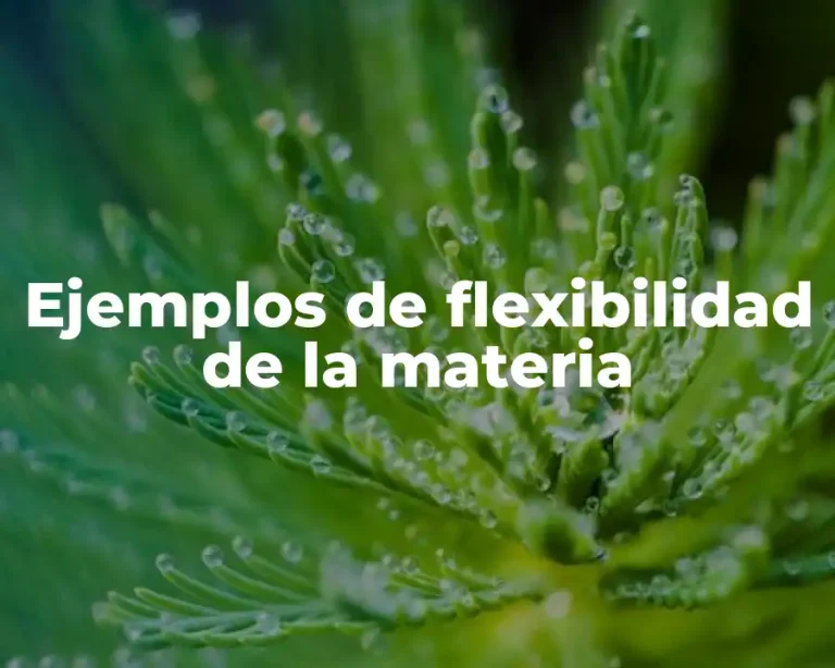 Ejemplos de flexibilidad de la materia