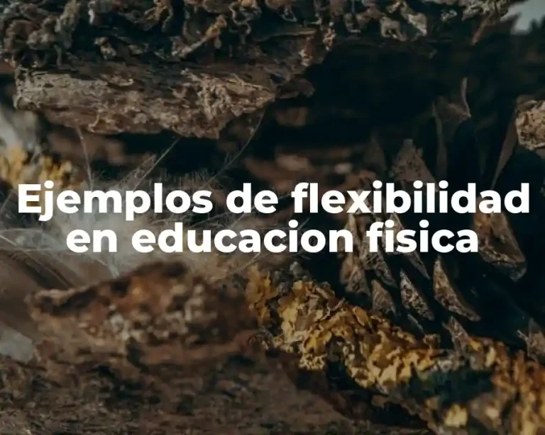 Ejemplos de flexibilidad en educacion fisica
