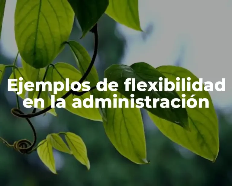 Ejemplos de flexibilidad en la administración