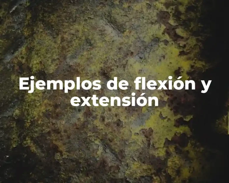 Ejemplos de flexión y extensión