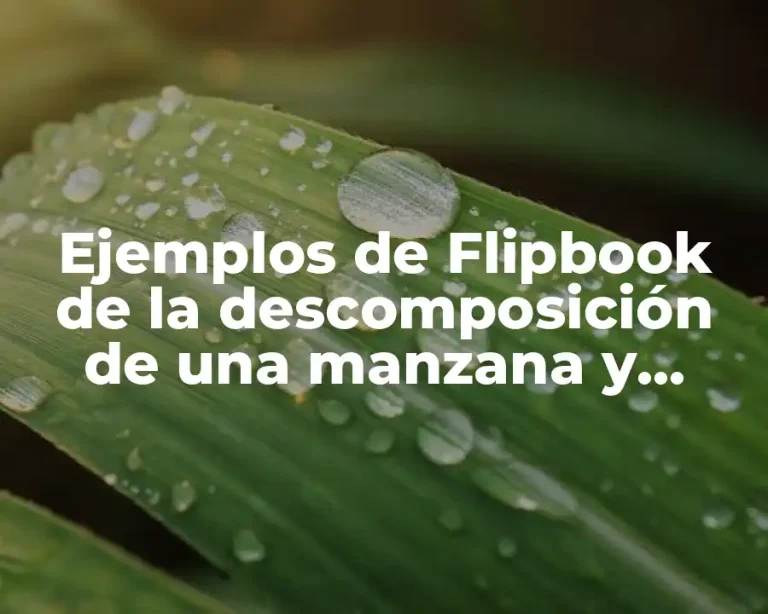 Ejemplos de Flipbook de la descomposición de una manzana y Significado